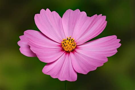 staking signage software|Best Focus Stacking Software in 2024 for Ultra Sharp Images .